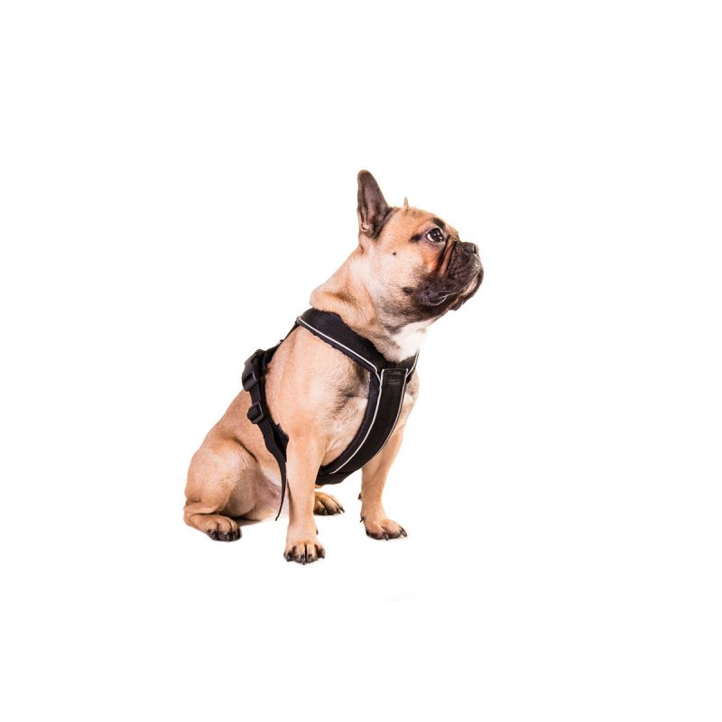 Half Harness by Non-stop dogwear. Non-stop dogwear, premium dog gear for active pets and working dogs | Dog harnesses | Dog collars | Dog Jackets | Dog Booties.
