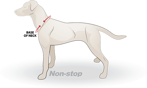 Non-stop dogwear, canicross, bikejoring, skijoring and sled dog gear | Dog Harnesses | Dog Collars | Dog Jackets | Dog Booties.